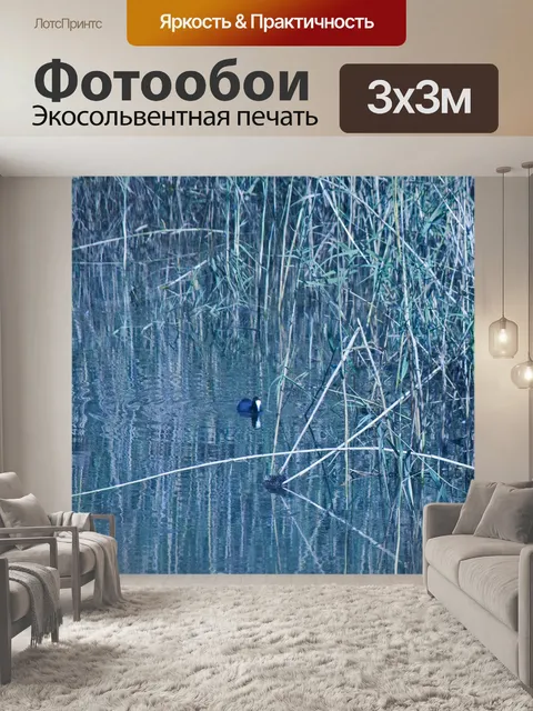 Фотообои Вересковые пустоши на воде плотины