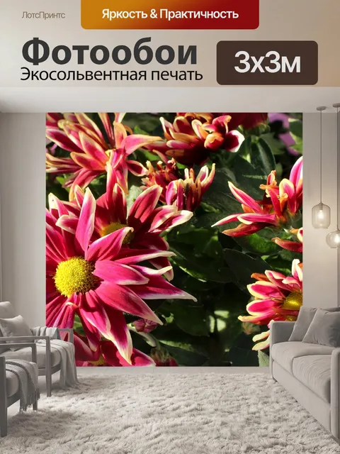 Фотообои Цветы