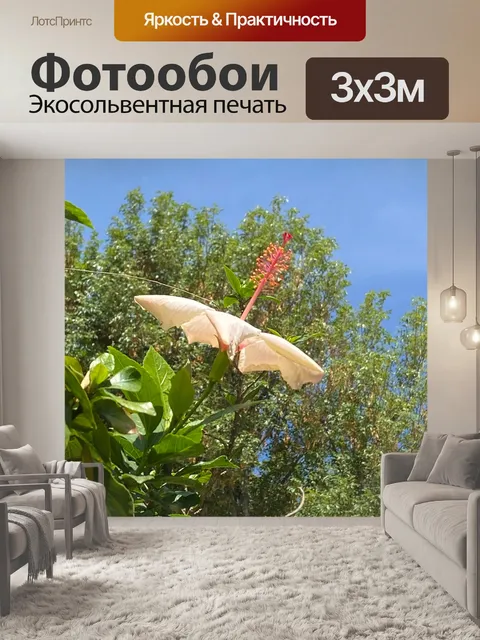 Фотообои Коппер Кинг Гибискус