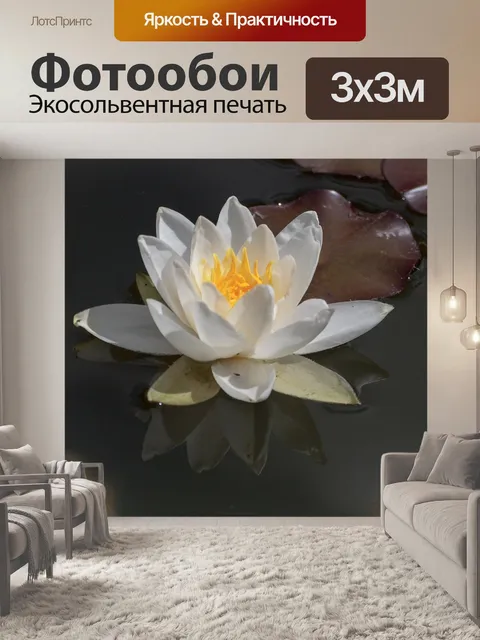 Фотообои Водяная лилия
