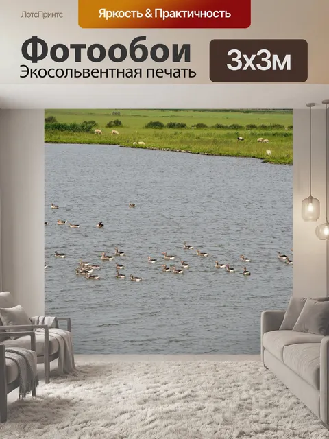 Фотообои Плавание гусей