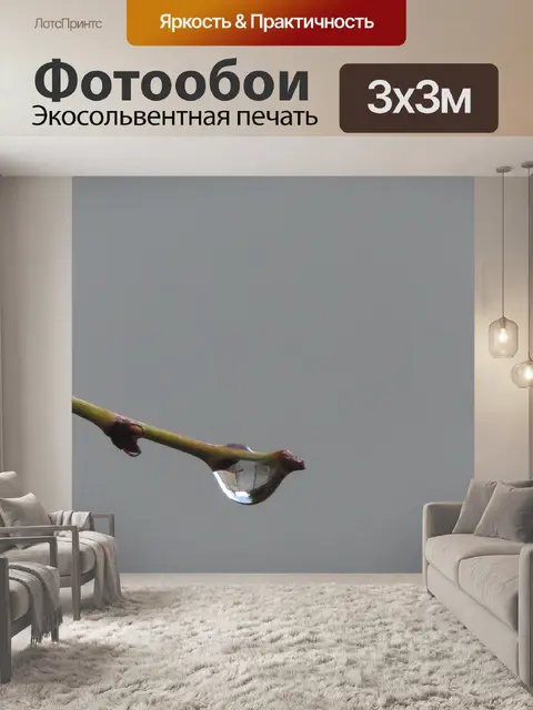 Фотообои Филиал капель