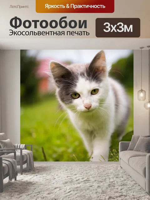Фотообои Кот
