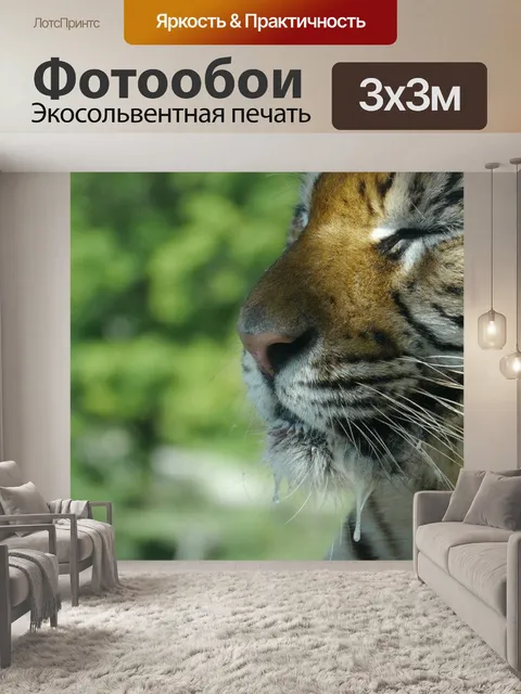 Фотообои Тигр