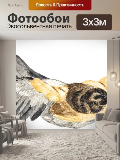 Фотообои Летящая птица