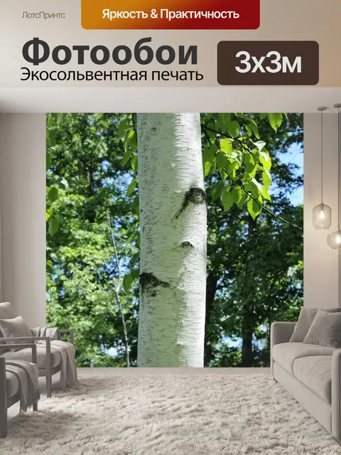 Фотообои Бумага береза