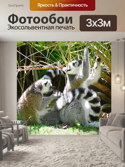 Фотообои Кольцо хвостами