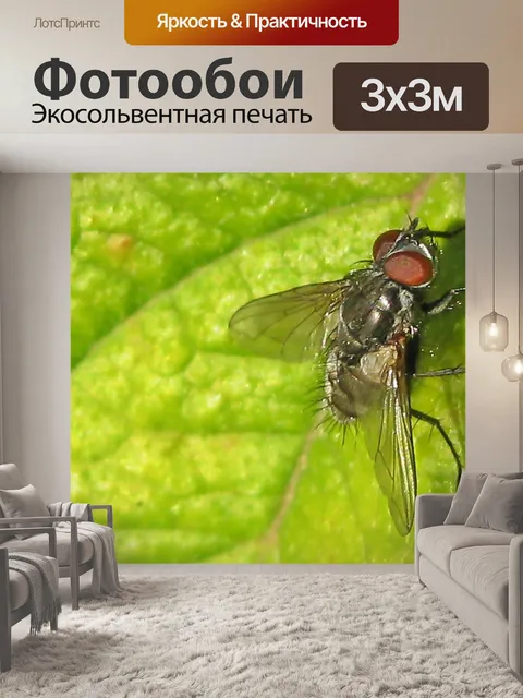 Фотообои Fly Макро