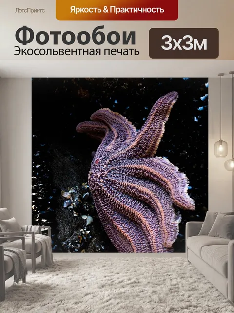 Фотообои Звездная рыба
