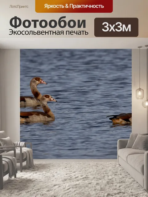 Фотообои Египетские гуси