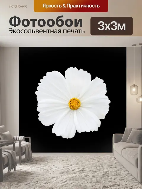 Фотообои Цветочные Белое на черном