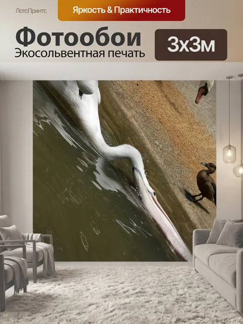 Фотообои Пеликан ловит рыбу на берегу