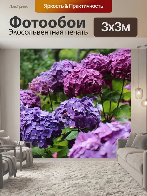 Фотообои Гортензия