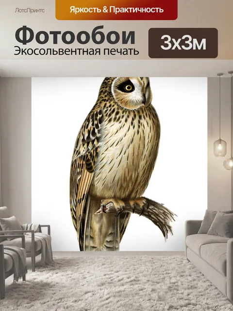 Фотообои Сова винтажный клипарт искусство