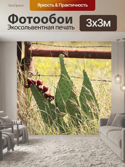 Фотообои Колючий груша кактуса