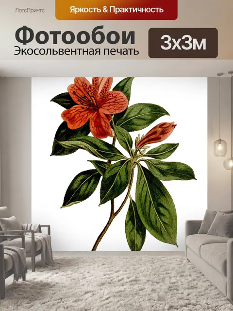 Фотообои Цветок