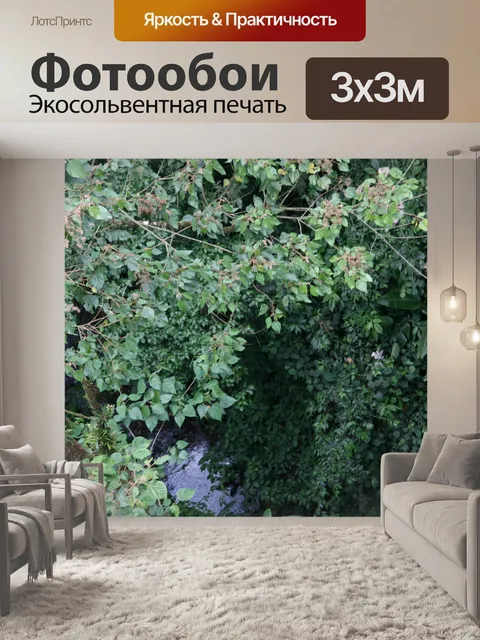 Фотообои Коста-Рика Дерево