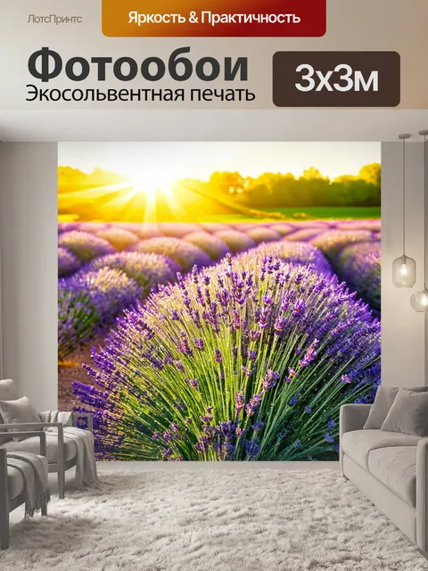 Фотообои утро: лавандовое поле, где утренние капли росы сверкают под лучами солнца, создавая яркие контрастные оттенки