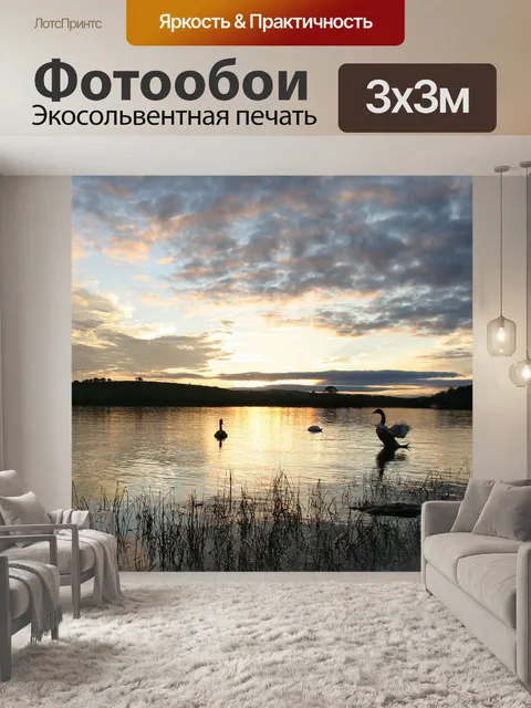 Фотообои Лебеди