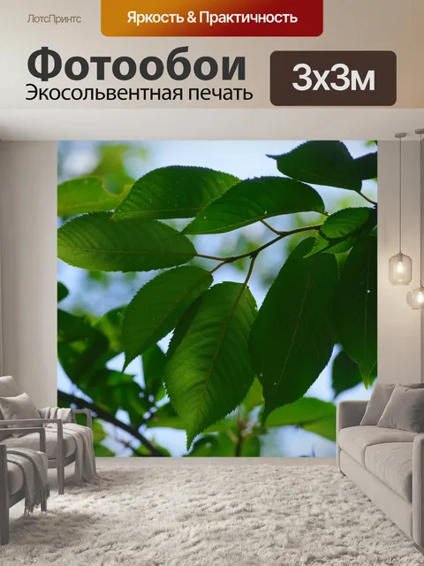 Фотообои Вишневое дерево