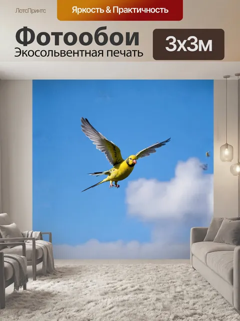 Фотообои волнистый попугай парит в воздухе, его яркие перья сверкают на фоне ясного голубого неба