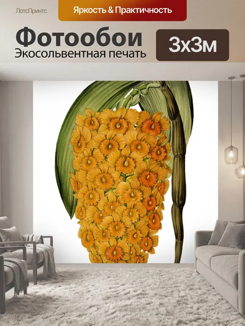 Фотообои Орхидея цветок винтажное искусство