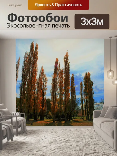 Фотообои Russet тополя