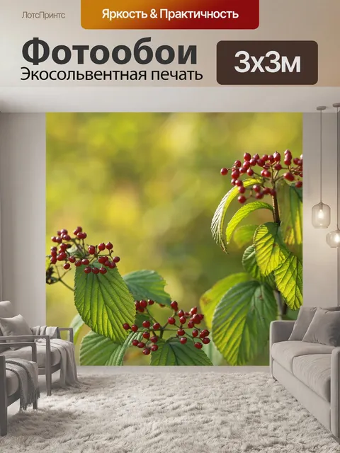 Фотообои Фрукты