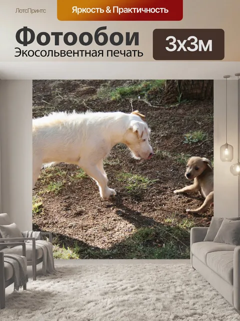 Фотообои Парсонс Джек Рассел с щенком