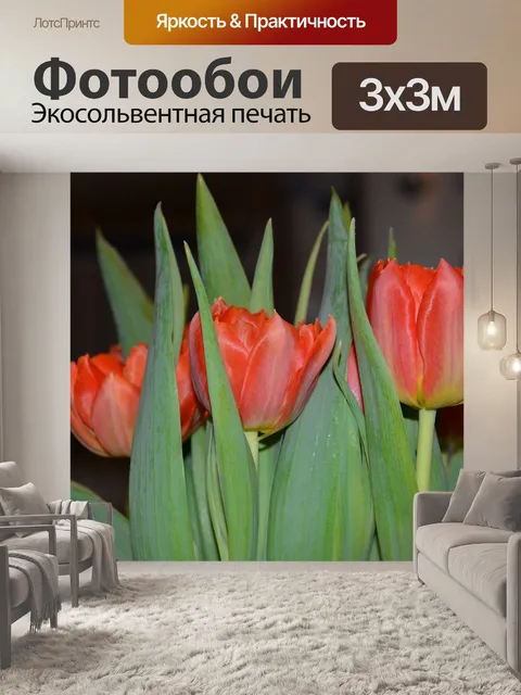Фотообои Тюльпаны