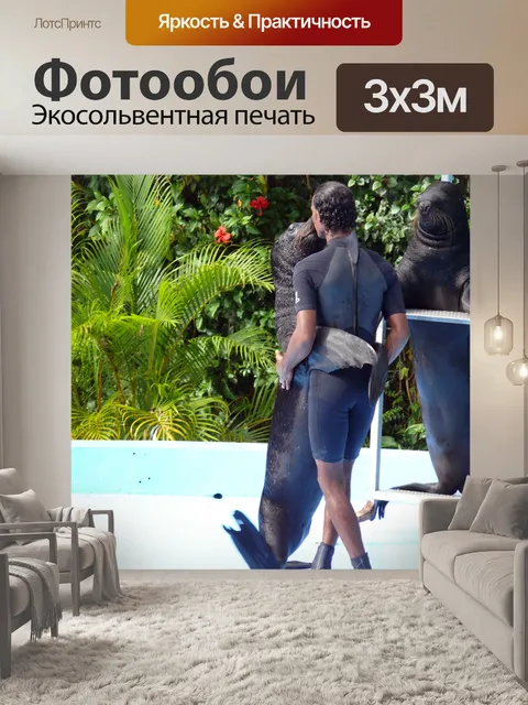 Фотообои "Морской лев" Показать