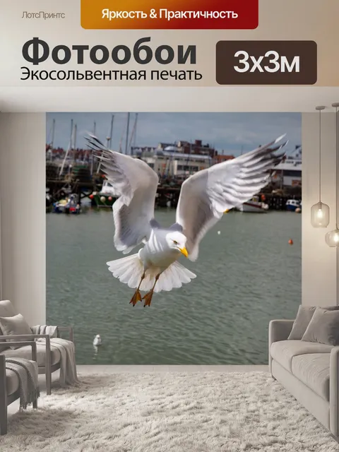 Фотообои Чайки в море