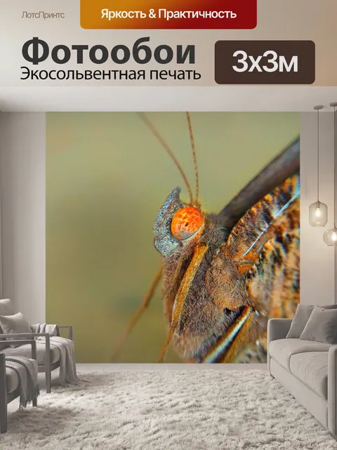 Фотообои Бабочка