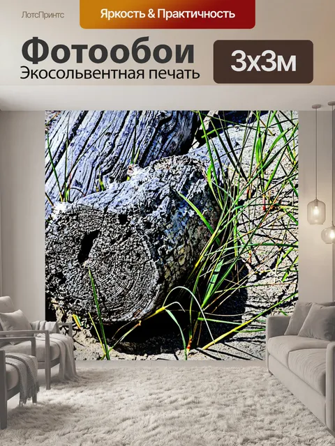 Фотообои Плавник в песок с травой