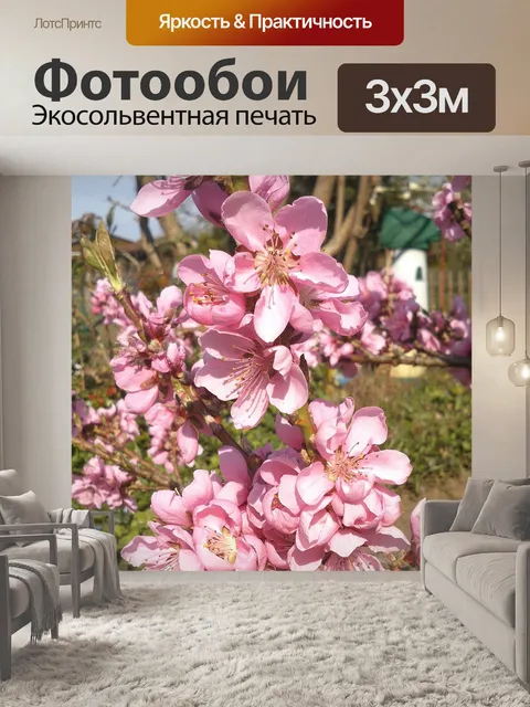 Фотообои Расцветает