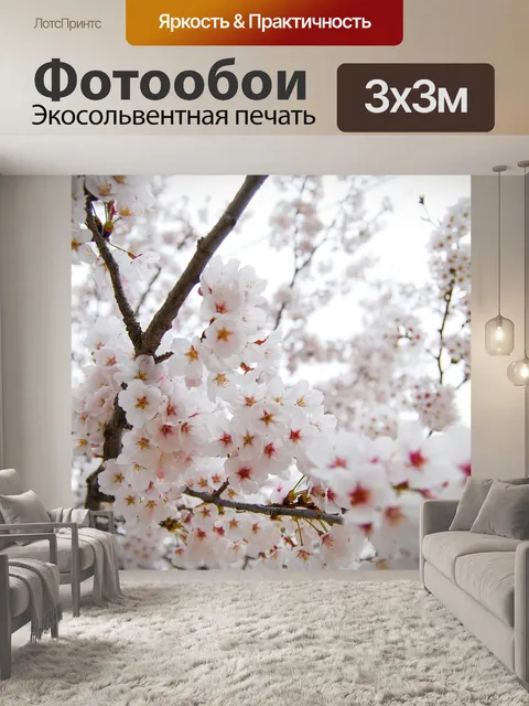 Фотообои Республика корея