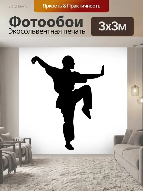 Фотообои Кунг фу поза