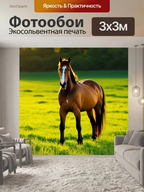 Фотообои конь, стоящий на зеленом лугу, освещенный нежным утренним светом