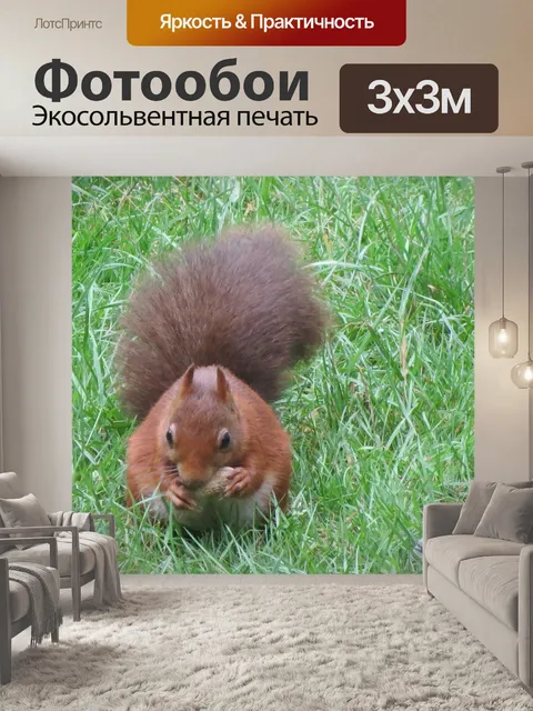 Фотообои Белка
