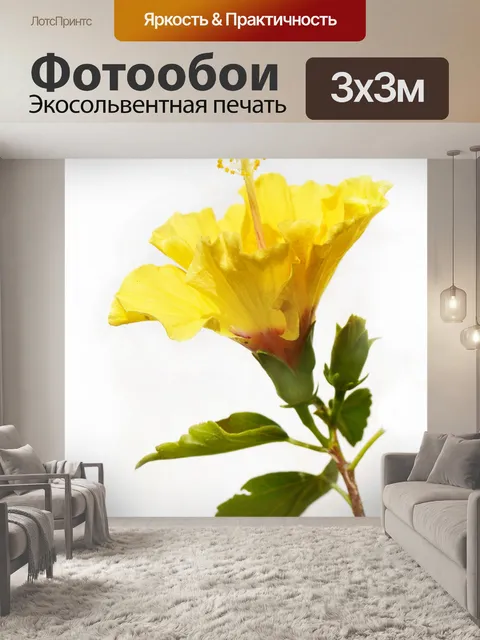 Фотообои Гибискус 2