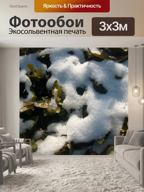 Фотообои Таяние снега