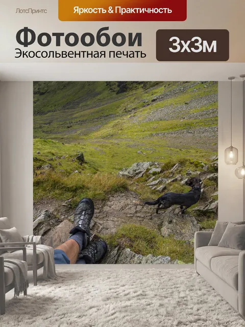 Фотообои Шагающий край и Хевельлин