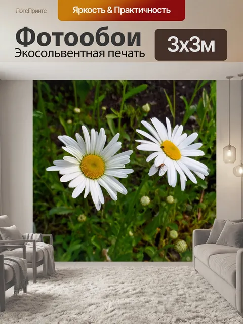 Фотообои Цветы