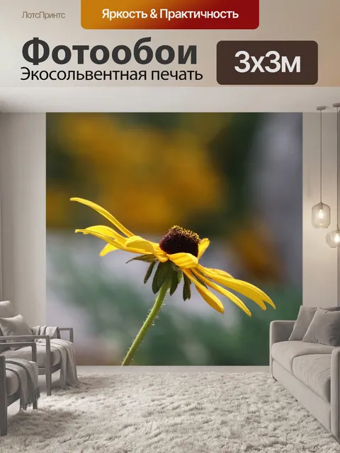Фотообои Рудбекия