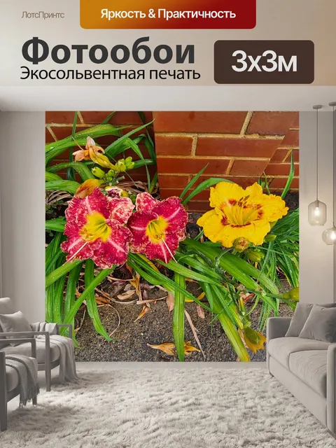 Фотообои Красная и желтая дневная лилия
