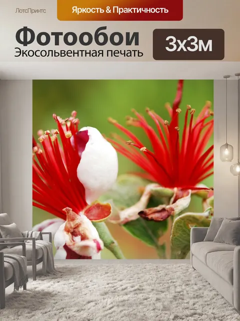 Фотообои Макрос