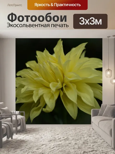 Фотообои Георгин