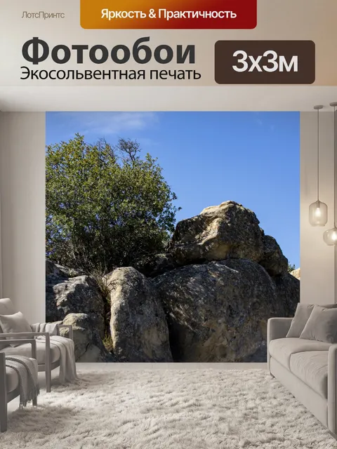 Фотообои дерево, растущее между скалами
