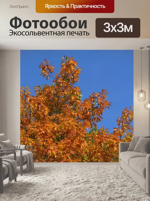 Фотообои Осень