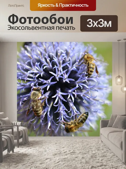 Фотообои Пчелы
